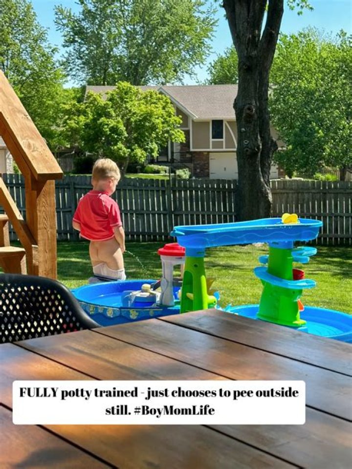 Are all 4 year olds potty trained?