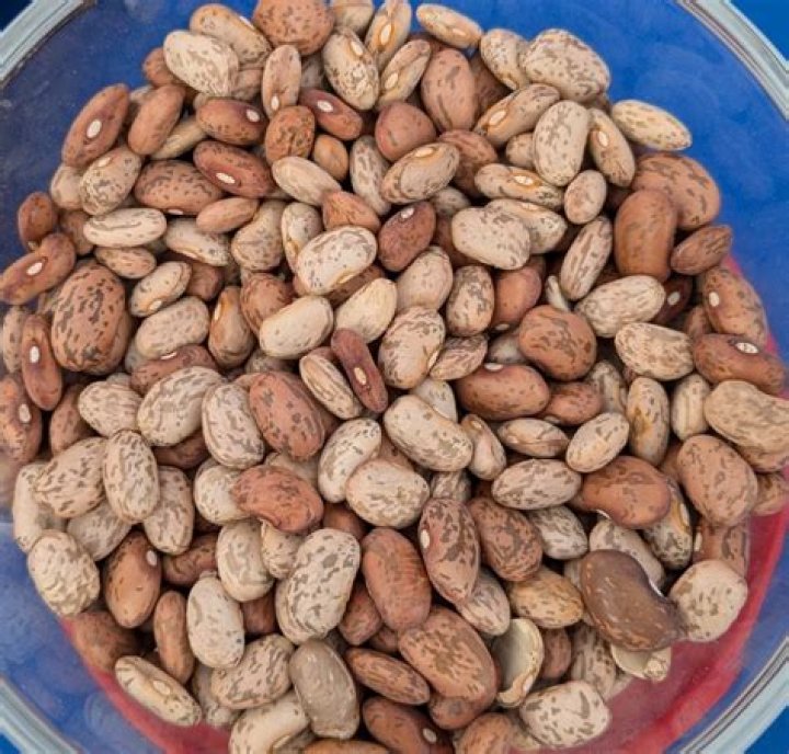 Are dark pinto beans bad?