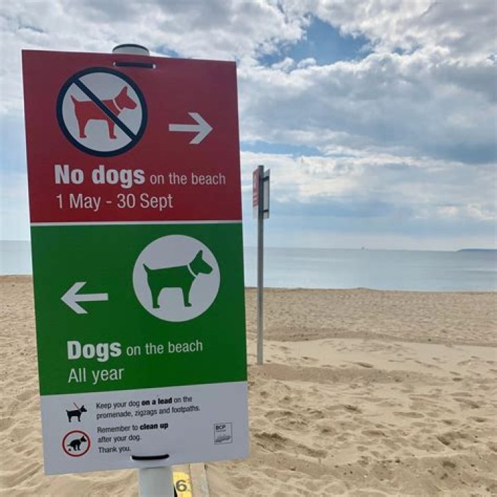 Are dogs allowed on Dunraven beach?