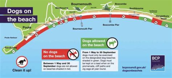 Are dogs allowed on Llandudno prom?