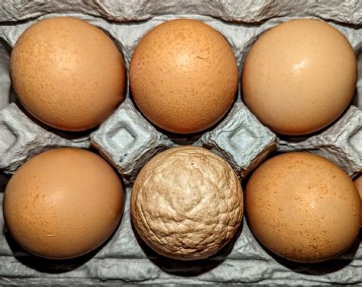 Are eggs constipating?