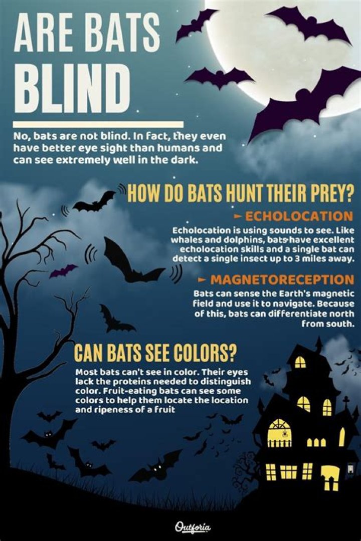 Are fruit bats blind?