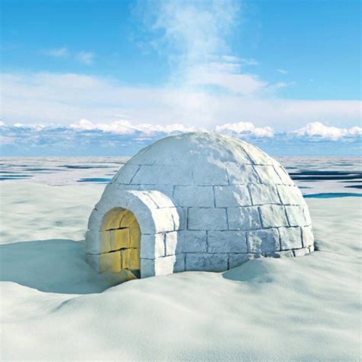 Are igloos made of ice or snow?