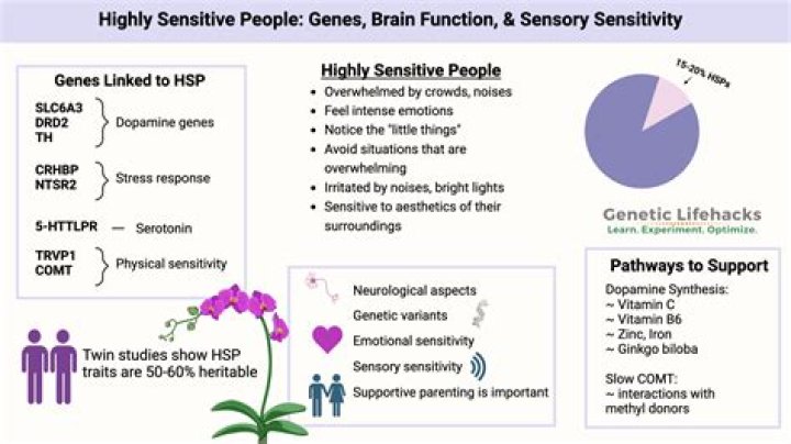 Are INTJs highly sensitive?