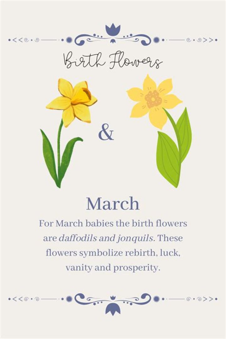 Are March babies attractive?