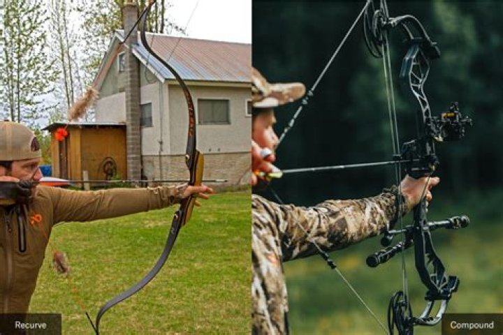 Are traditional bows better?
