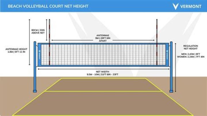 Are women's volleyball nets shorter?