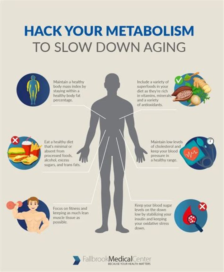 At what age does metabolism slow down?
