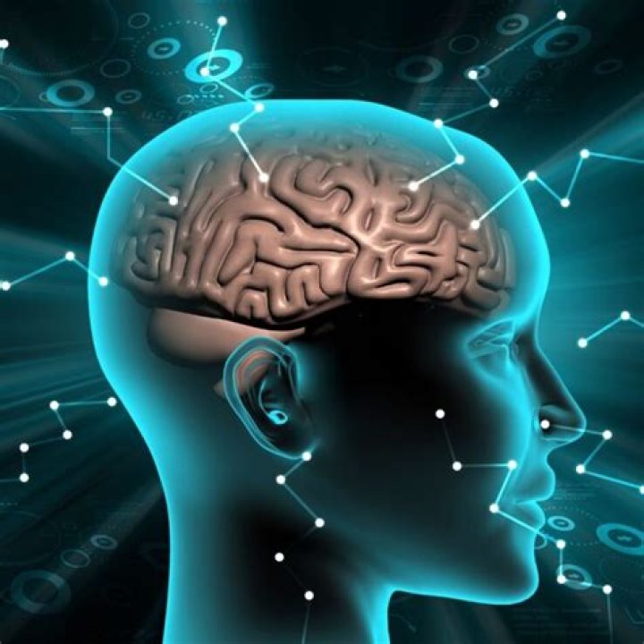 At what age is your brain the sharpest?