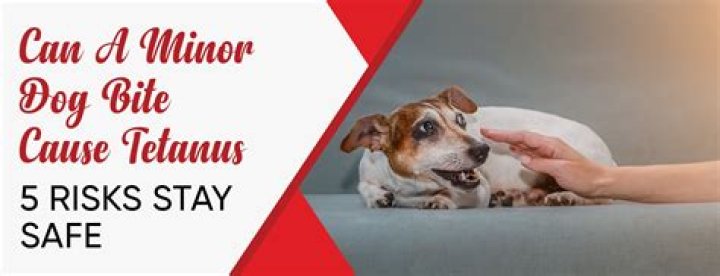 Can a minor dog bite cause tetanus?