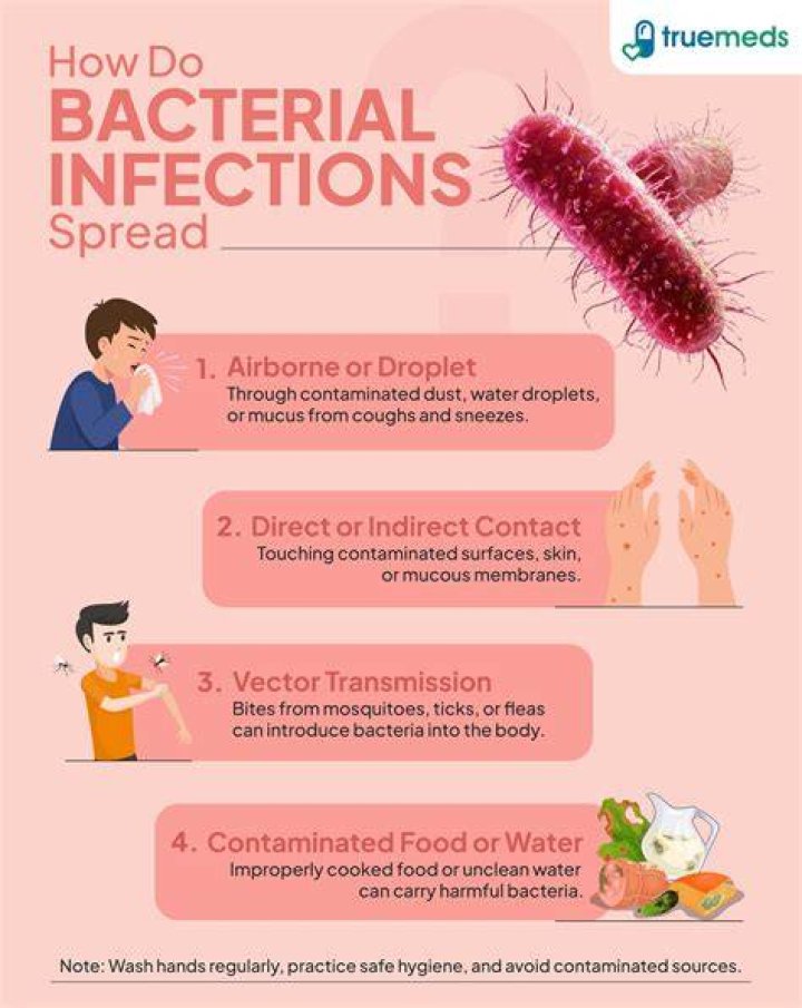 Can an infection come back after antibiotics?