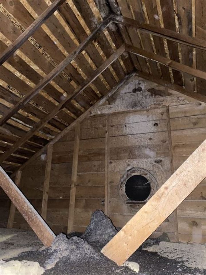 Can bats chew through walls?