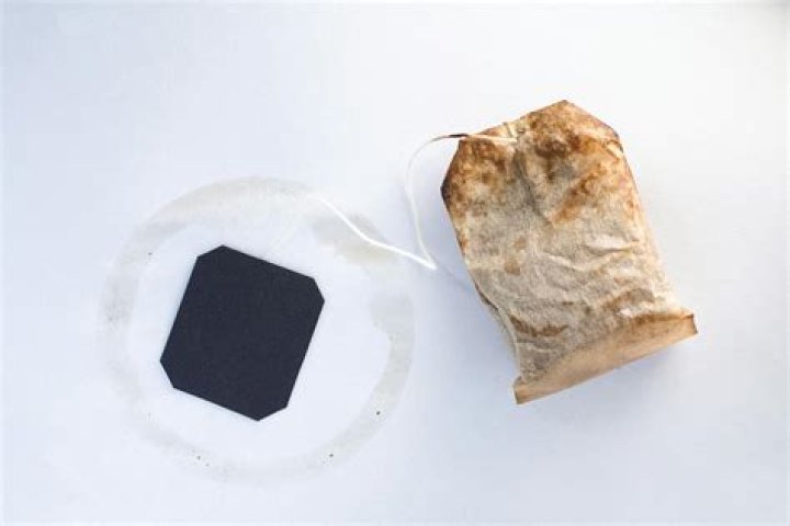 Can I compost tea bags?