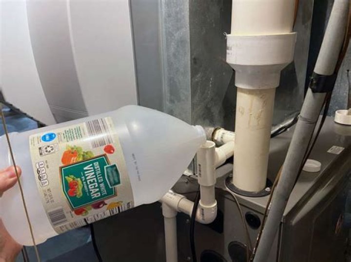 Can I pour vinegar in my sump pump?