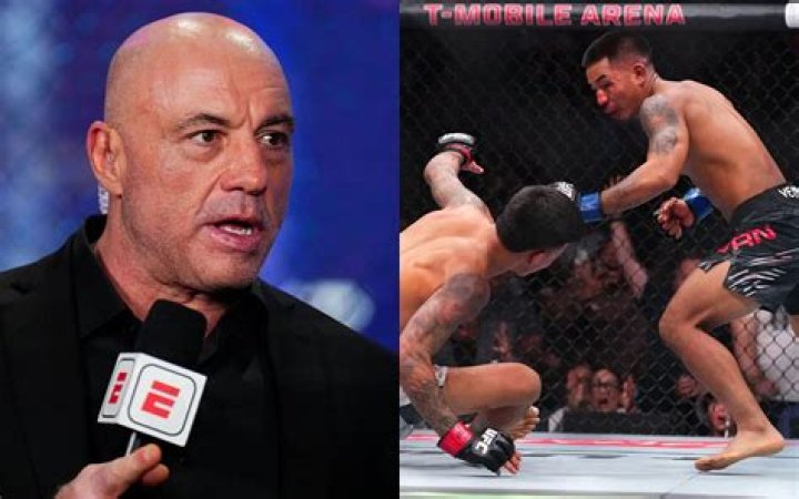 Can Joe Rogan fight MMA?