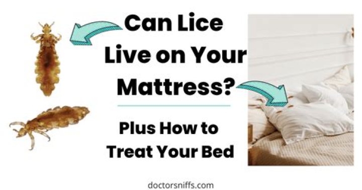 Can pubic lice live in mattress?