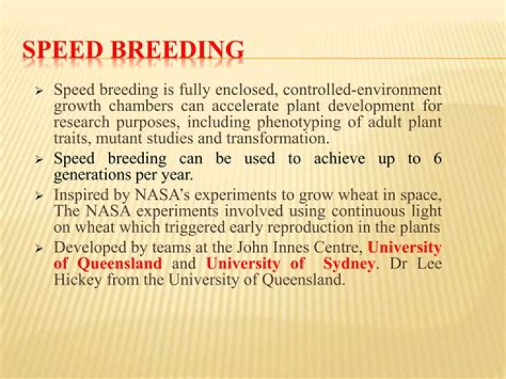 Can speed be developed?