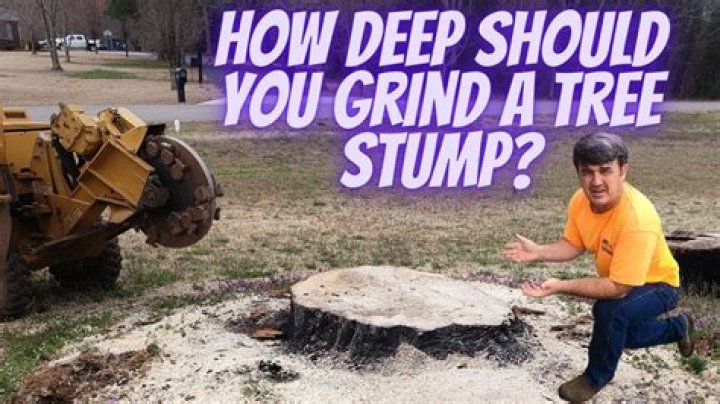 Can you grind a stump with a chainsaw?