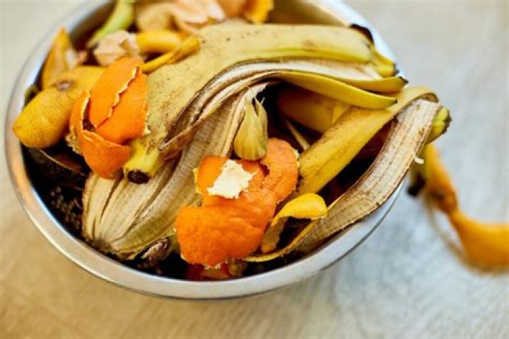 Can you put banana peels in compost?
