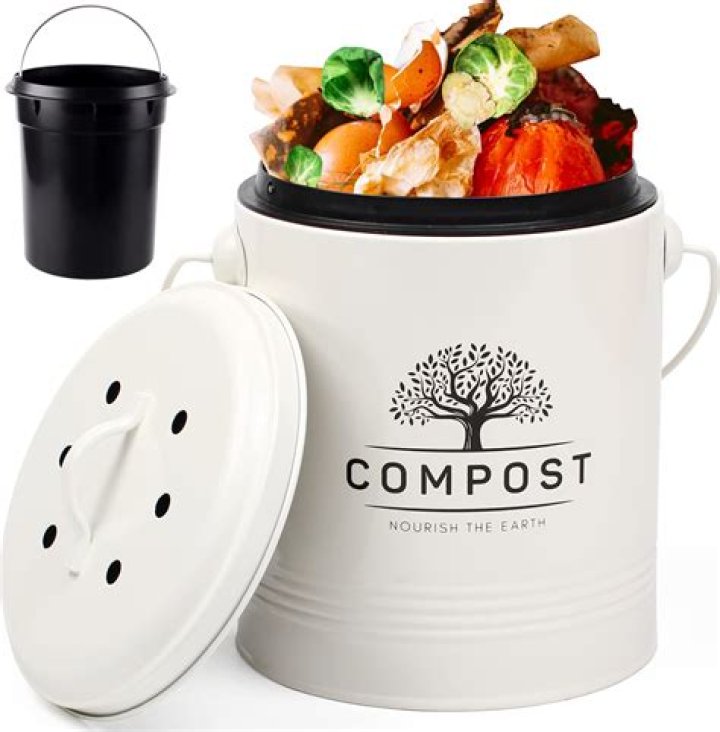 Can you put Playdough in the compost bin?