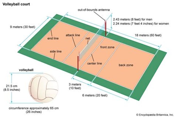 Can you use any part of body in volleyball?