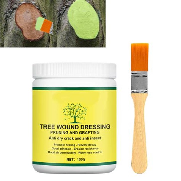 Can you use paint to seal a tree?