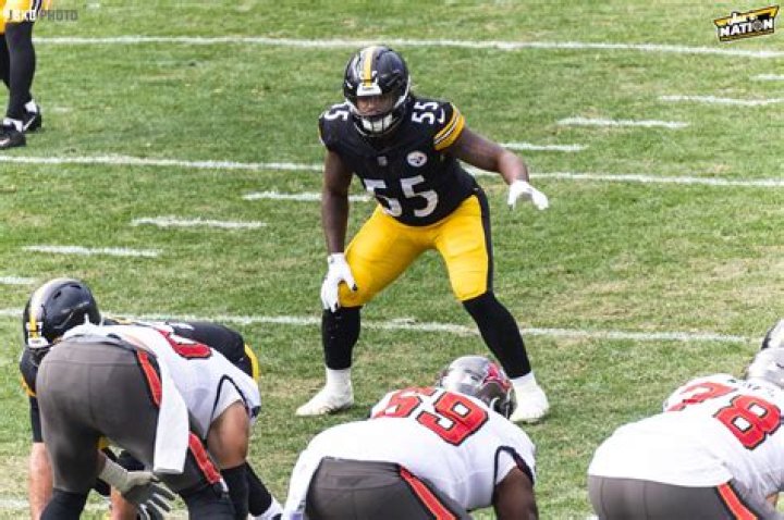 Did the steelers cut devin bush?