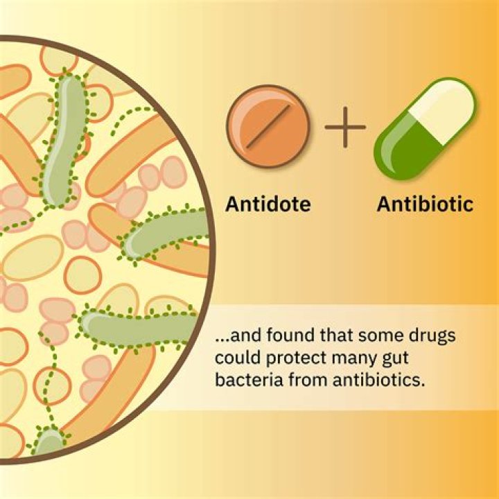 Do antibiotics weaken immune system?