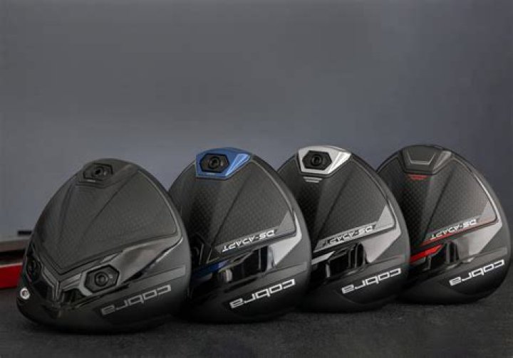 Do any pros use Cobra clubs?
