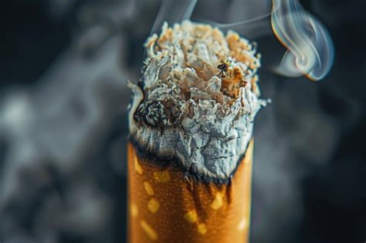 Do bees like cigarette smoke?