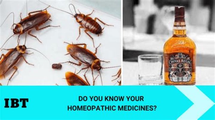 Do cockroaches hate alcohol?