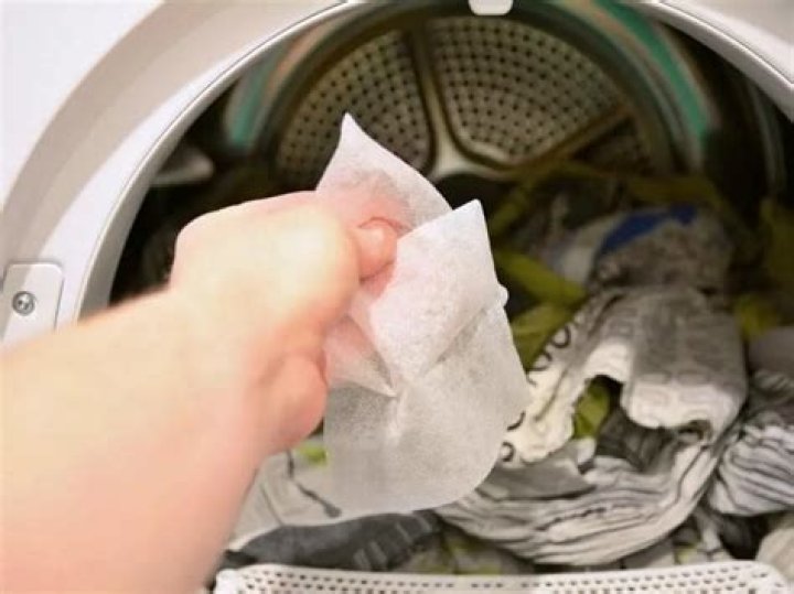 Do dryer sheets repel chipmunks?