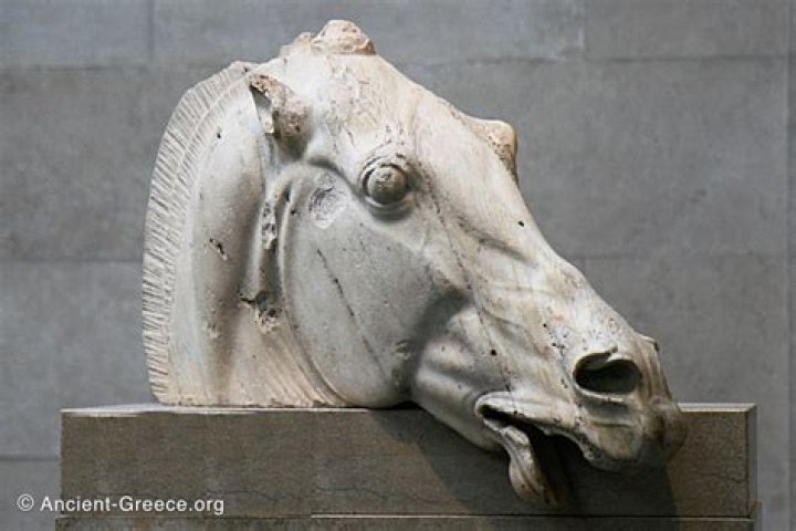 Do horses mourn their owners?
