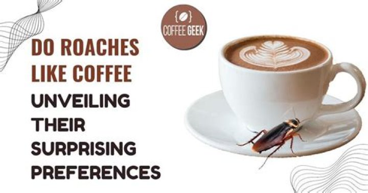 Do roaches like coffee?