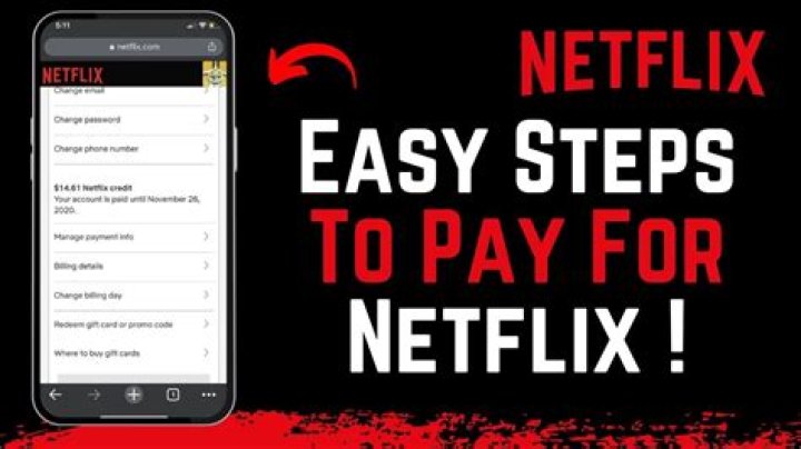 Do you have to pay for Netflix?