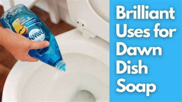 Does Dawn dish soap clean toilets?