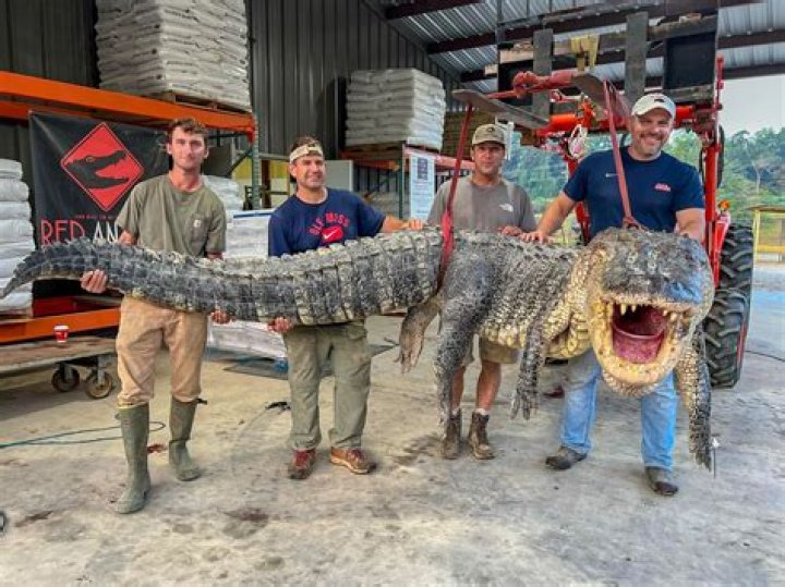 Does Florida have a gator hunting season?