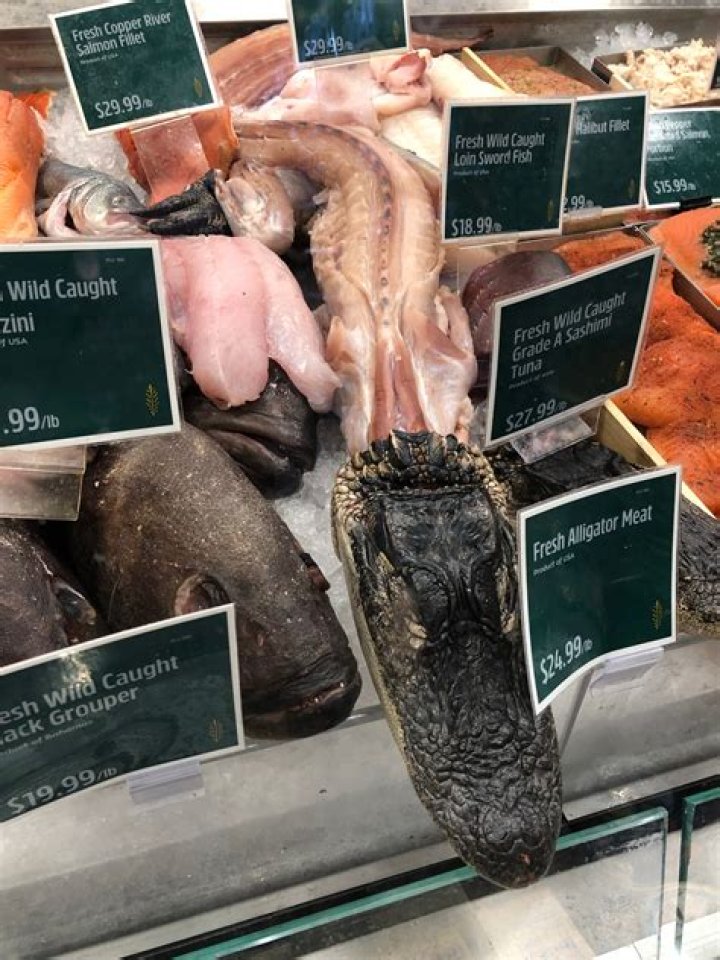 Does Gatorland sell gator meat?