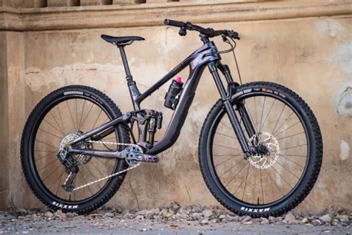 Does Giant own specialized bikes?