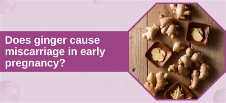 Does Ginger cause miscarriage early pregnancy?