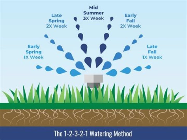Does humic 12 need to be watered in?
