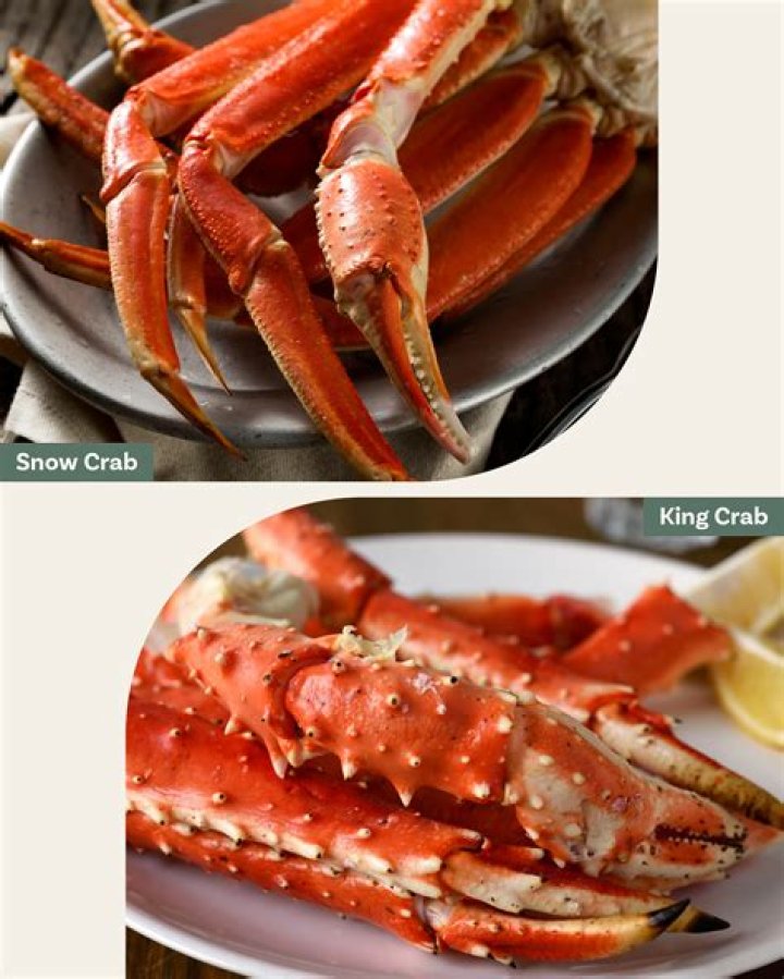 Does king crab and snow crab taste different?