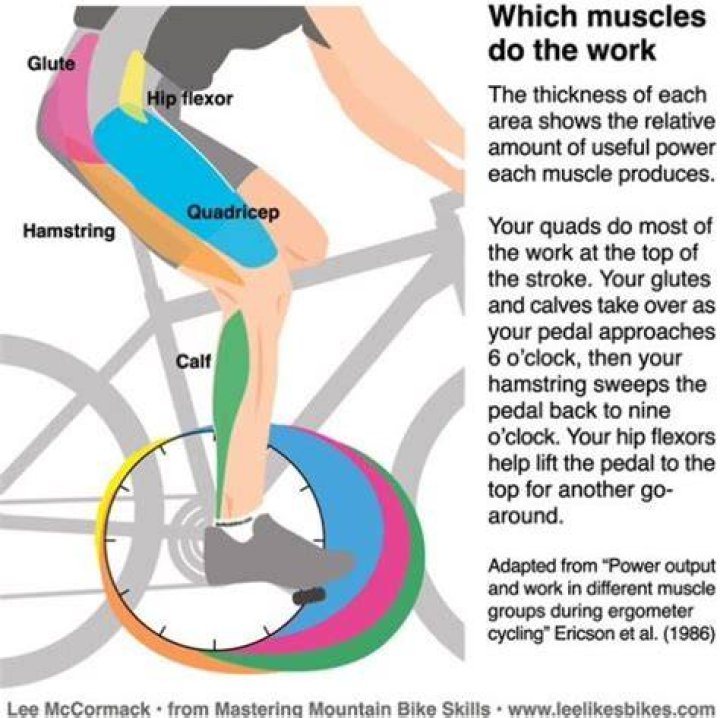 Does recumbent bike strengthen legs?