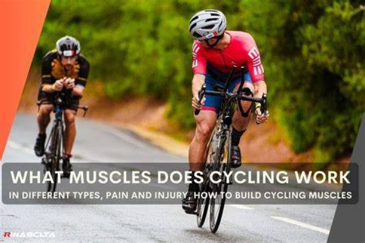 Does riding a bike help your stomach muscles?