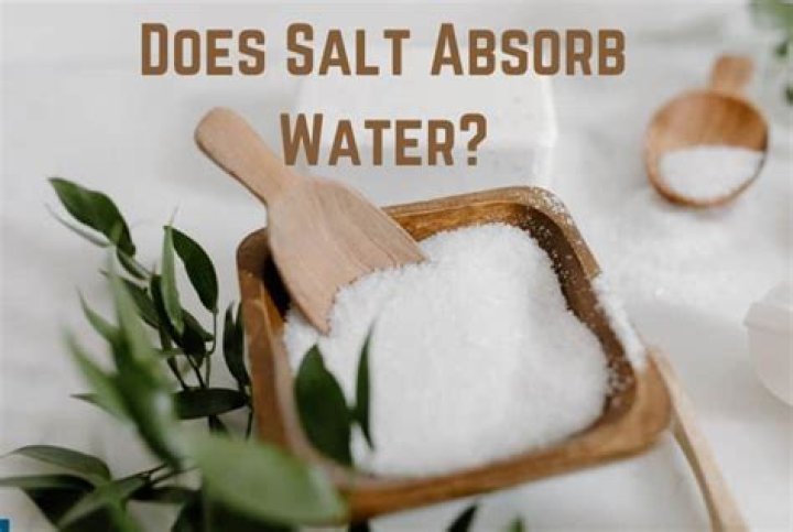 Does your body absorb salt water from the ocean?