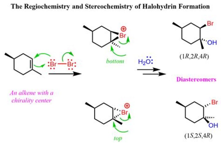 How alkenes are formed?