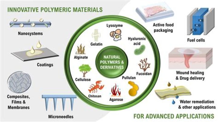 How are natural polymers made?