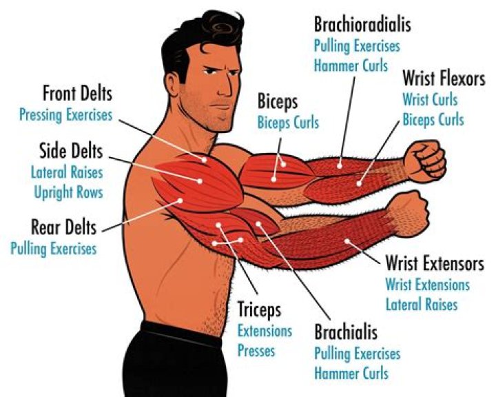 How can I get thicker muscles?
