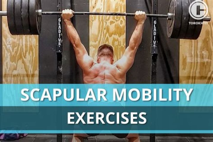 How can I improve my scapular stability?