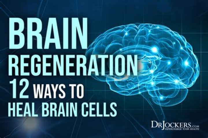 How can I repair my brain cells naturally?